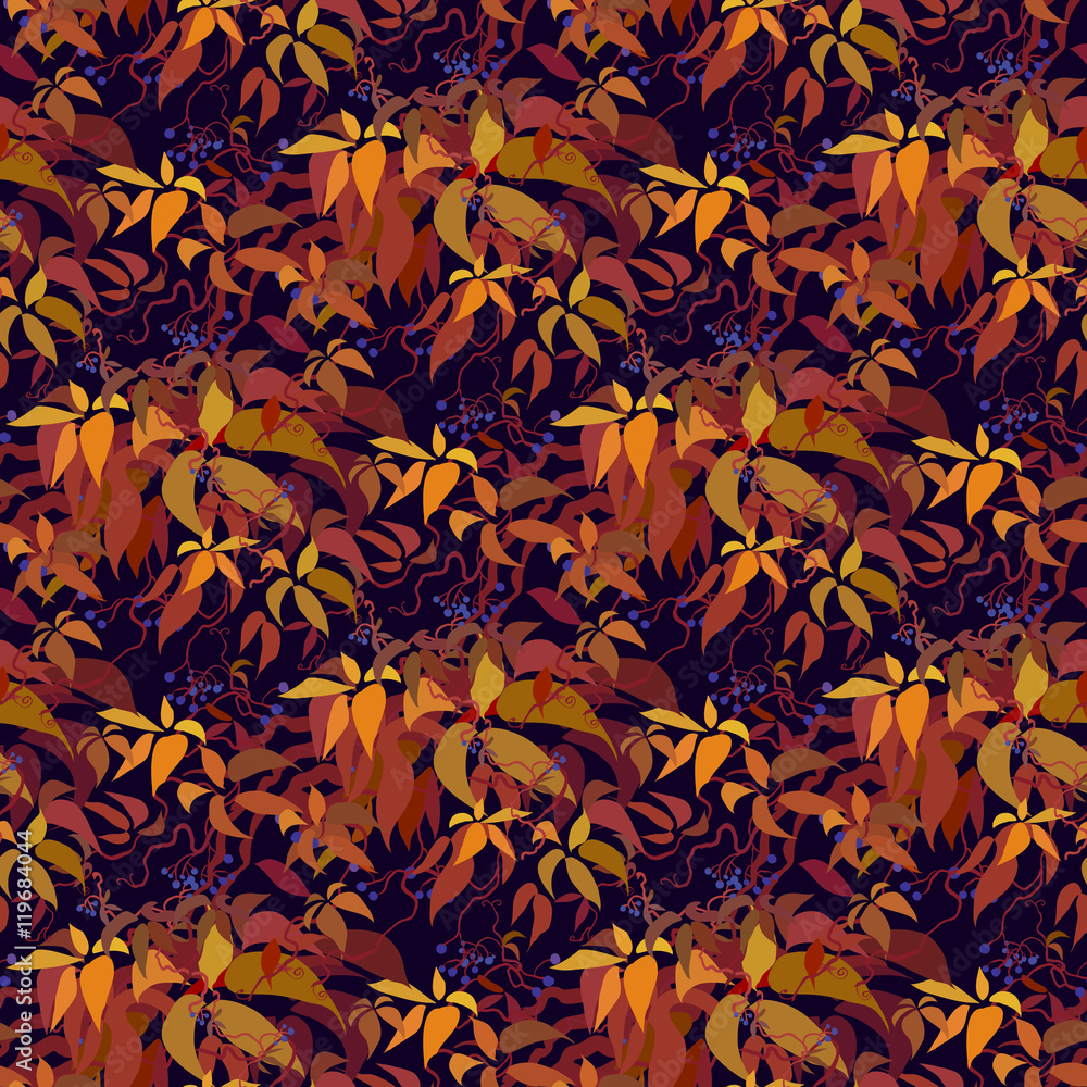 Autumn grape vine Autumn grape vine