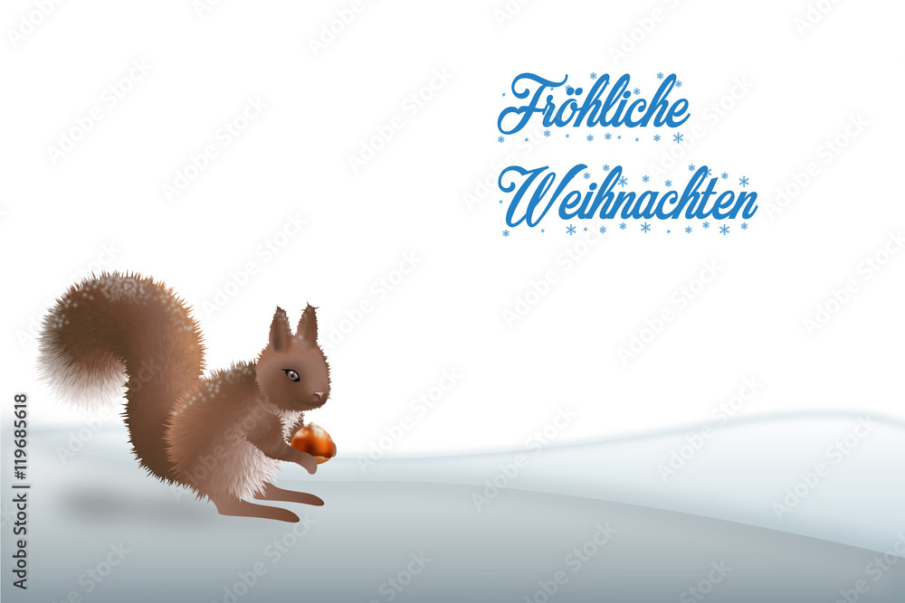 Fröhliche Weihnachten Eichhörnchen Adobe Stock