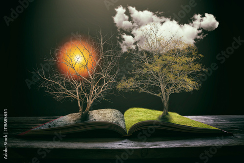 Different side is desert with a dead tree, Global warming concept.