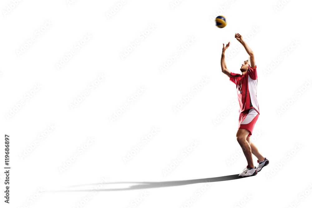 Fotografie Professional valleyball player isolated on white