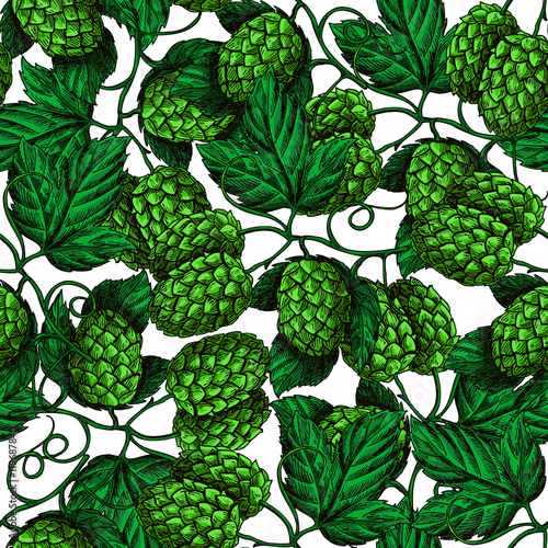 Hop vector seamless pattern. Hand drawn artistic beer green hopes with leaves on white background. Vintage wallpaper. Great drawing decor for oktoberfest or beer packaging