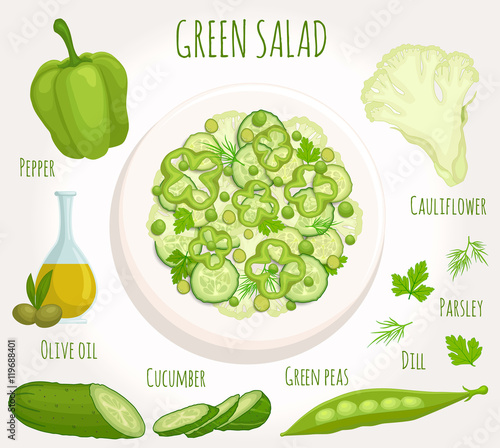 Green salad recipe with ingredients. Top view. Vector illustration. Plate with sliced vegetables.