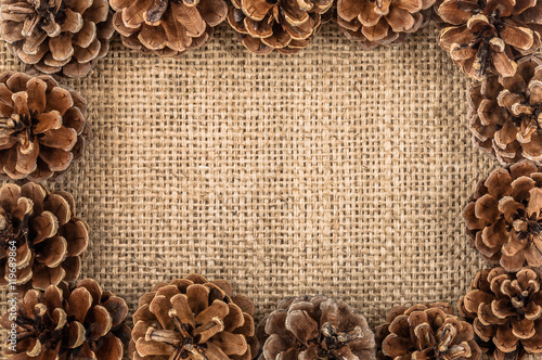 Pine cones christmas frame