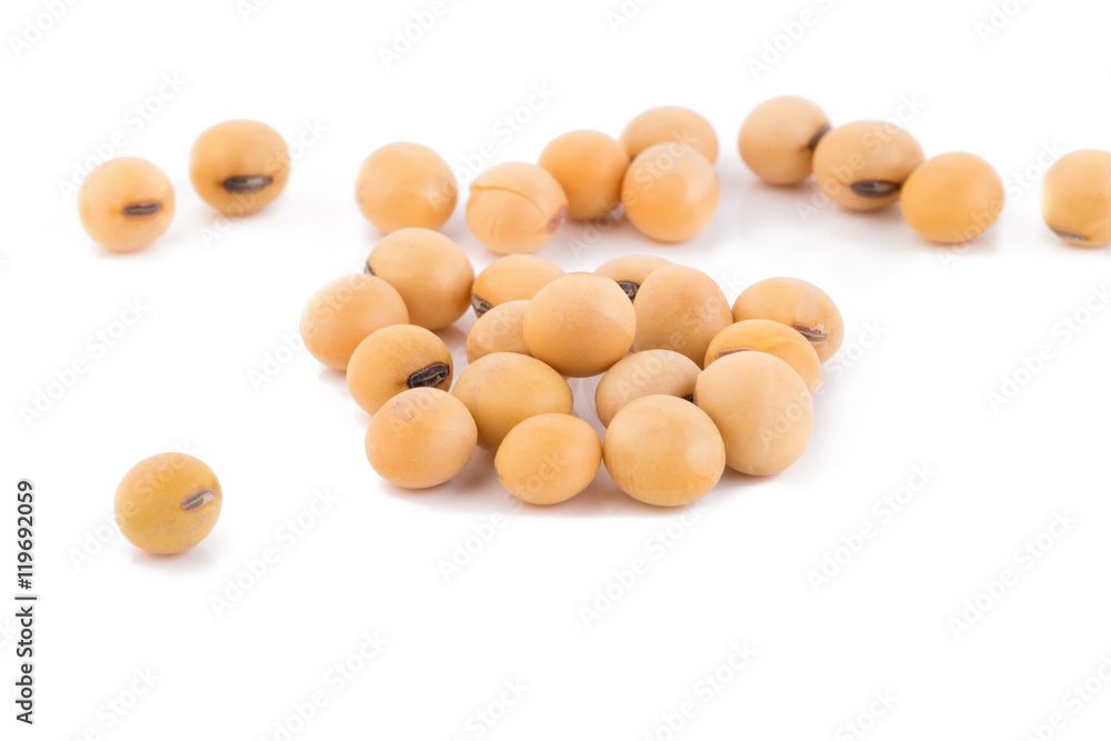 soybean isolated on white background soybean isolated on white background