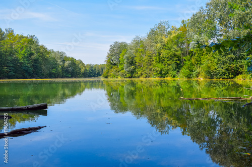 Teich