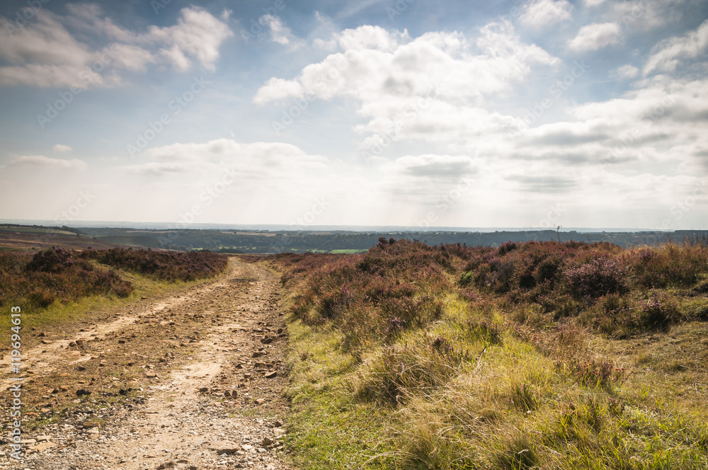 A track leading south off Blakey moor in the North Yorkshire Moors, England