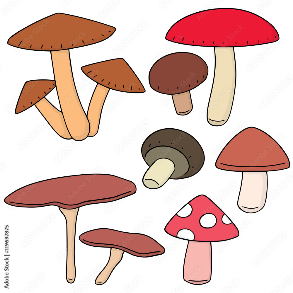 vector set of mushroom