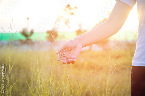 Women hand touching green grass at meadows