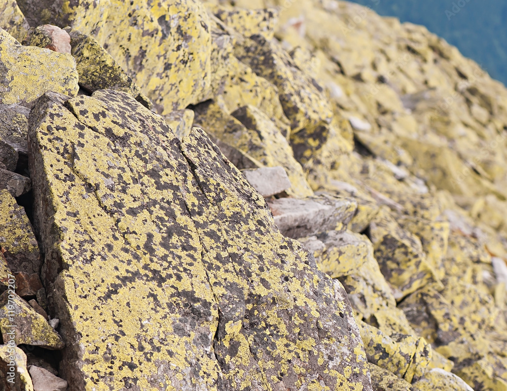 Background of stone. Natural stone. Background of stone. Natural stone.