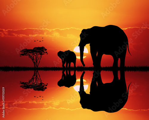 elephants in African landscape at sunset