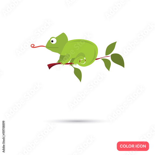 Chameleon on the branch color flat icon