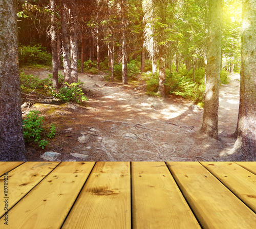 Wooden style floor and natu...
