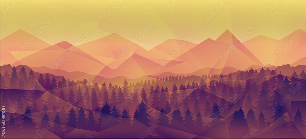 Forest landscape, nature vector background