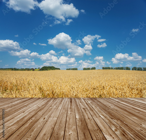 Wooden floor, field of ripe...