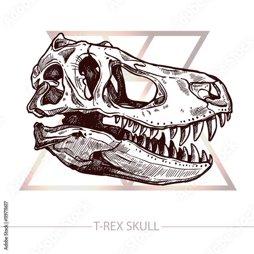Dinosaur Skull. Trendy Design With Drawing Of T-Rex Skull