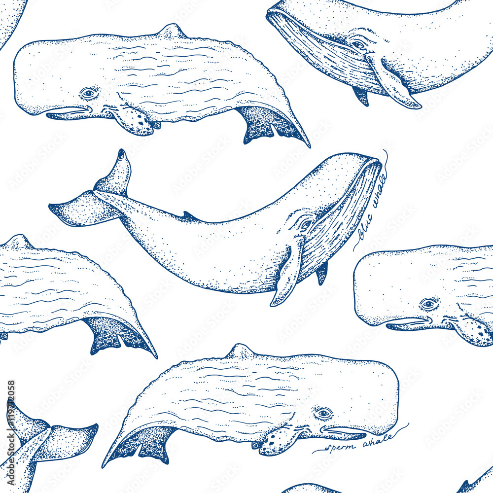 Naklejka premium Big blue and sperm whales - vector hand drawn seamless pattern design. Huge swimming aquatic mammal ink sketch