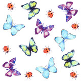 Butterflies and ladybug. Hand drawn watercolor seamless pattern white isolated