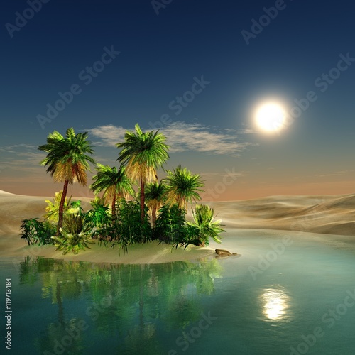 oasis. sunset in the desert. palm trees in the desert. water and palm trees.