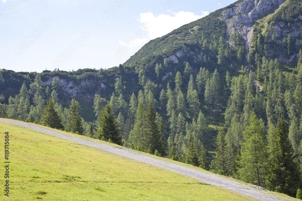 Beautiful view at mountains in summer in Tirol, Austria