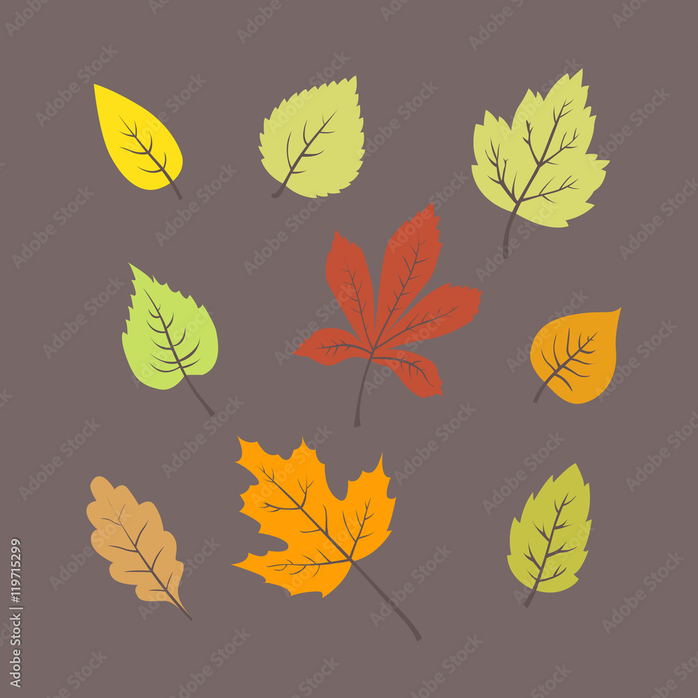 Fototapeta premium Colorful autumn leaves set. vector illustrations