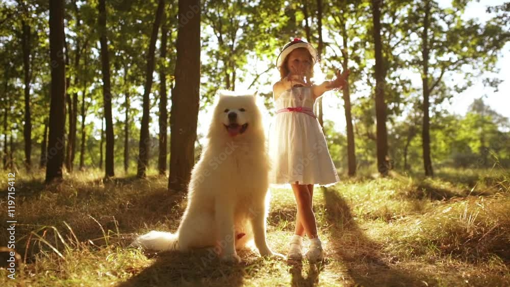Young pretty girl walking, playing with white dog in park at sunset. Slow motion. Young pretty girl walking, playing with white dog in park at sunset. Slow motion.