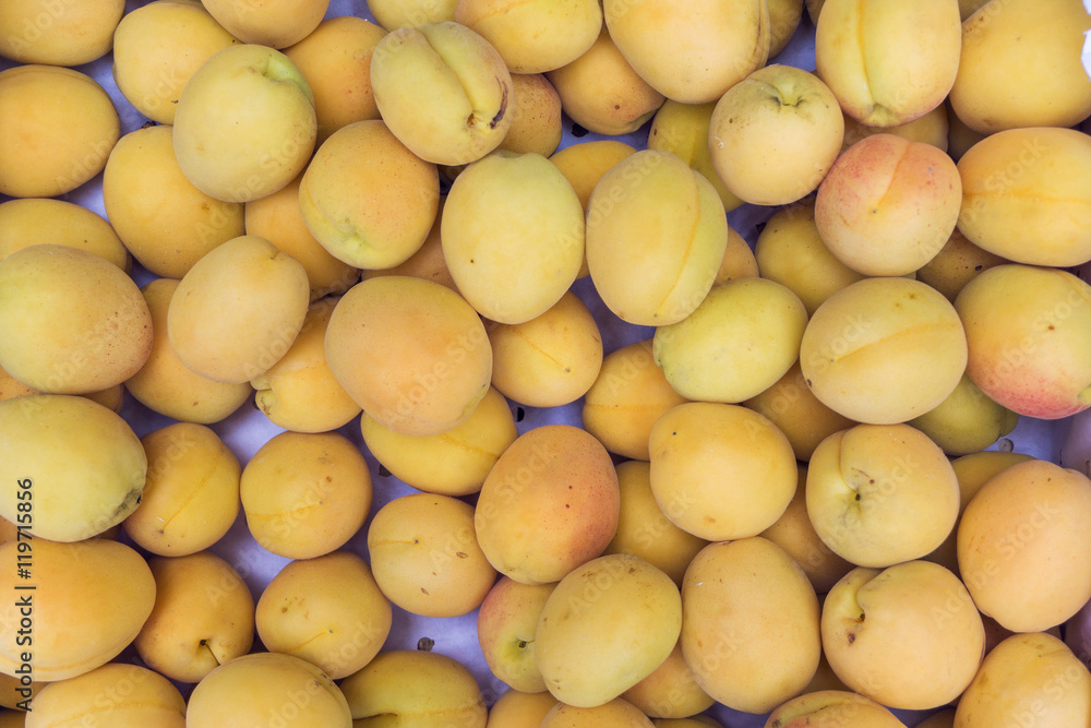 just picked collected apricots background just picked collected apricots background