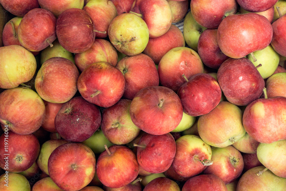 just picked collected apples grunge dirty for cider or juice just picked collected apples grunge dirty for cider or juice