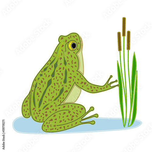 Green frog sitting in the water surrounded by reeds. The patchwork frog