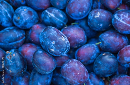 Blue plums background. Fresh fruits.
