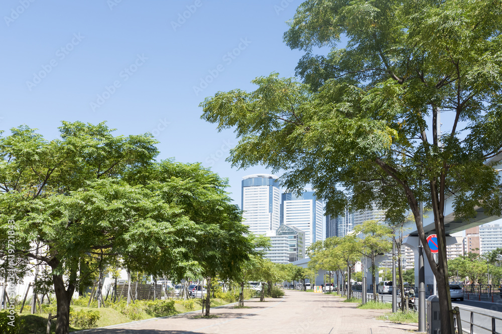 Fototapeta premium 豊洲 再開発地区 新豊洲駅前から 晴海月島方面の高層マンションを望む 緑道 公園