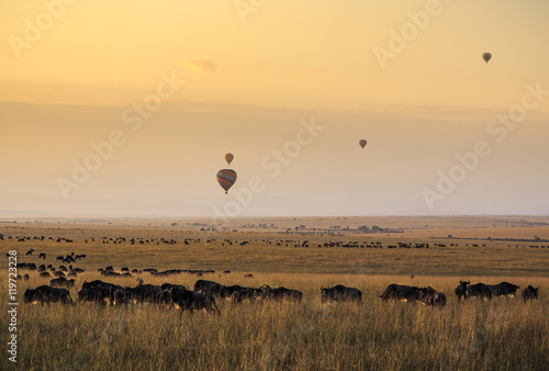 Balloons over the Masai Mara at Sunrise