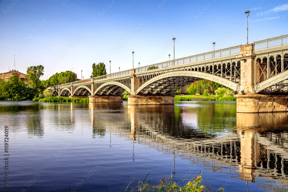 Enrique Estevan bridge, Salamanca. Spain.