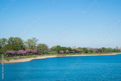 Landscape of Druid Park in Baltimore, Maryland