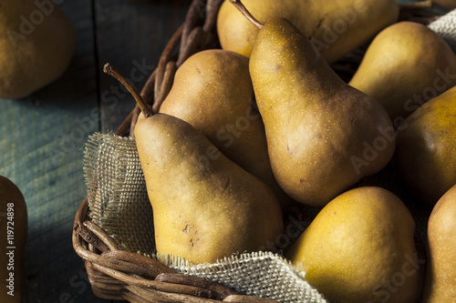 Raw Organic Green and Brown Bosc Pears photo