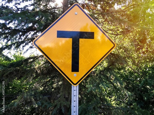 T intersection sign on tree...