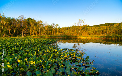 Beaver Marsh in Cuyahoga Valley National Park between Cleveland and Akron