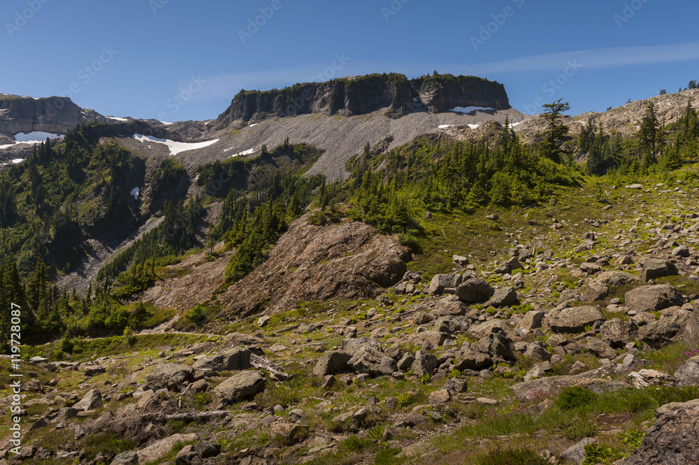 Mt. Baker National Forest. This gorgeous loop hike has it all: big views of Mounts Baker and Shuksan, beautiful lakes and meadows and an abundance of wildflowers during summertime. Washington State.