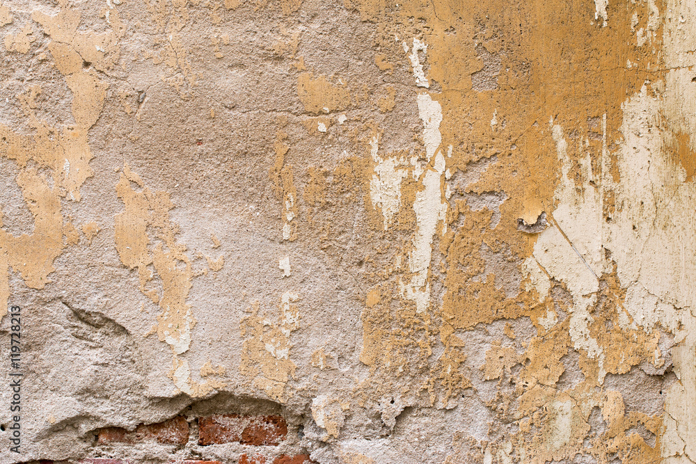 Fototapeta premium Moldy brick wall background