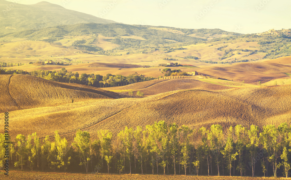 Fototapeta premium Tuscan autumn landscape,retro colors, vintage