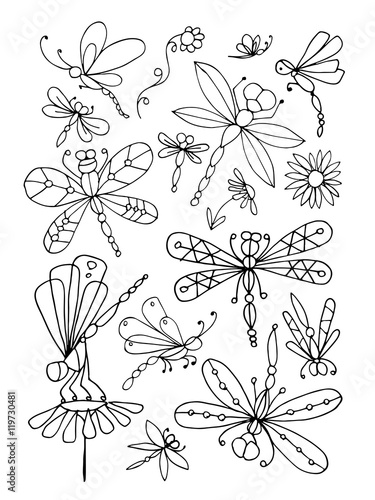 Dragonfly collection, sketch for your design