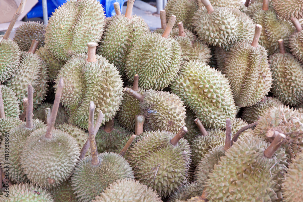 durian king of fruit durian king of fruit