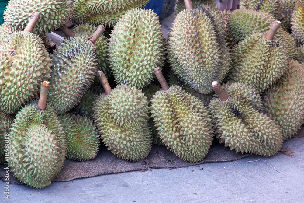 durian king of fruit durian king of fruit
