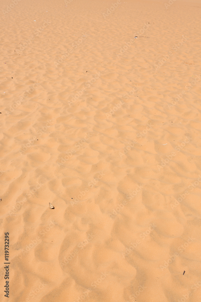 red sand dune desert in Mui Ne, Vietnam red sand dune desert in Mui Ne, Vietnam