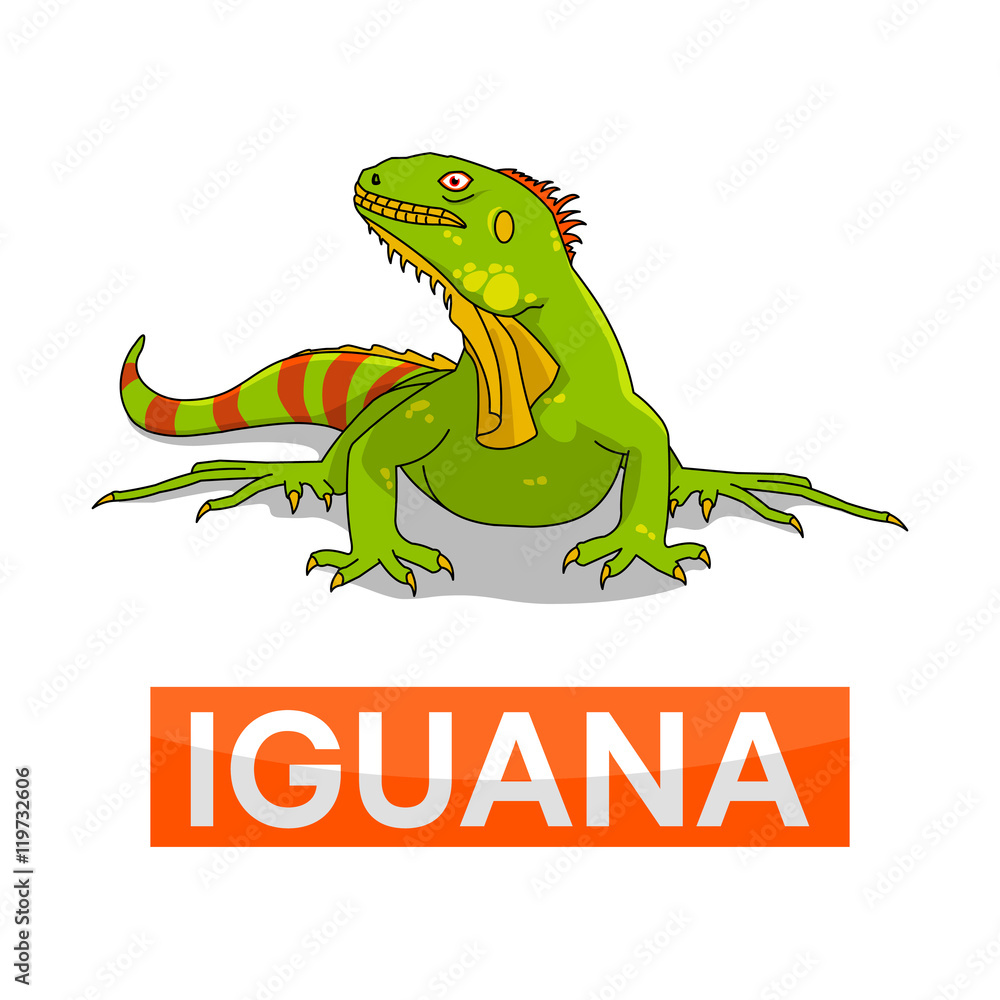 Fototapeta premium green iguana with line