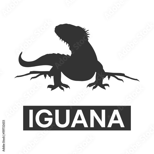 silhouette iguana