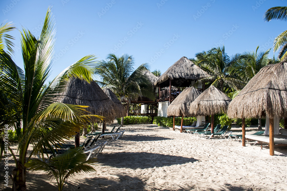 Beach with Palms at Playe del Carmen Mexico Yucatan