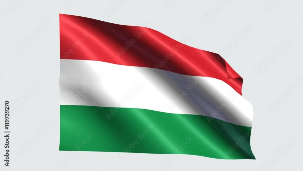 Hungary flag with transparent background Hungary flag with transparent background