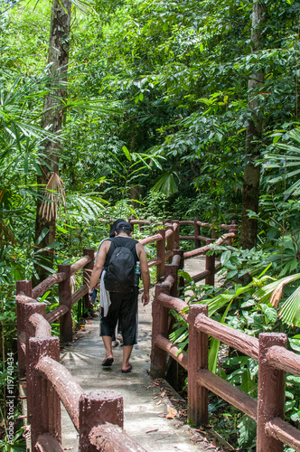 walking path in rain forest © isarawut
