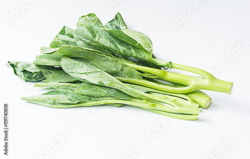 Chinese kale vegetable on white background