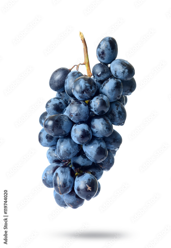 Bunch of grapes with water drops, isolated on white background Bunch of grapes with water drops, isolated on white background